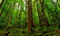 世界体操团体赛赛后康复示范中心列入试点名单，世界体操协会官网