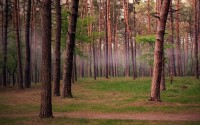 世界登山安全装备评测：新技术提升攀登保障，目前世界上唯一一个具有登山装备认证