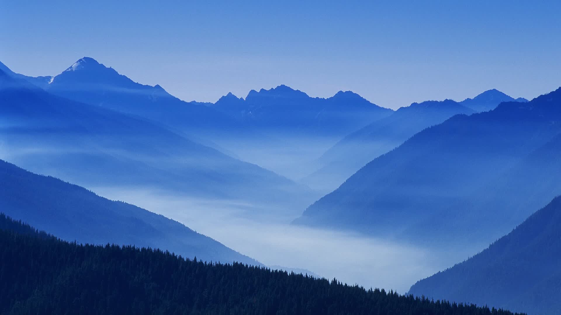 世界登山青年导师长期追踪研究第63期数据摘要发布，世界登山家排名